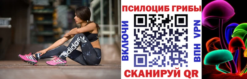 блэк спрут маркетплейс  Хвалынск  Псилоцибиновые грибы MAGIC MUSHROOMS 