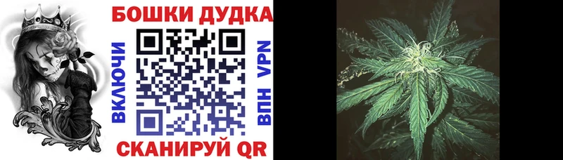Бошки Шишки план Хвалынск